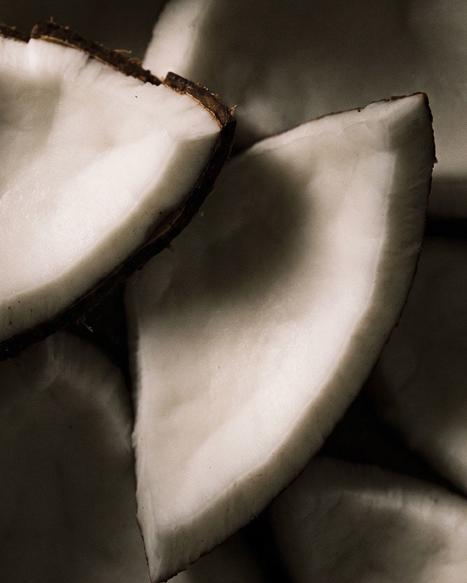 Dark Chocolate Coconut