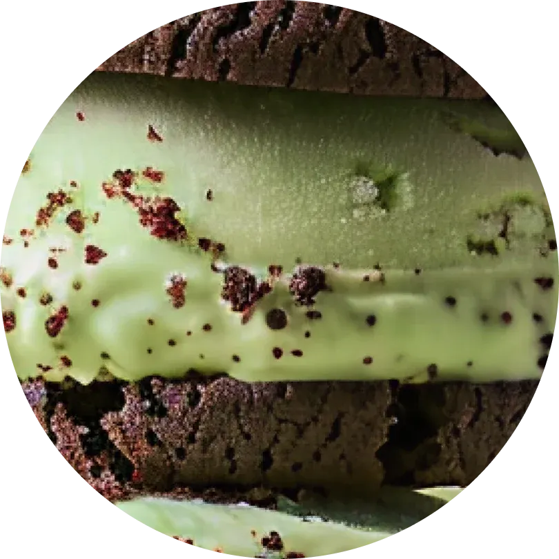 swatch for Mint Cookies and Cream